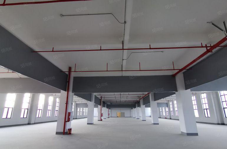 国资委红本厂房出租500平1000平5000平光明区田寮附近