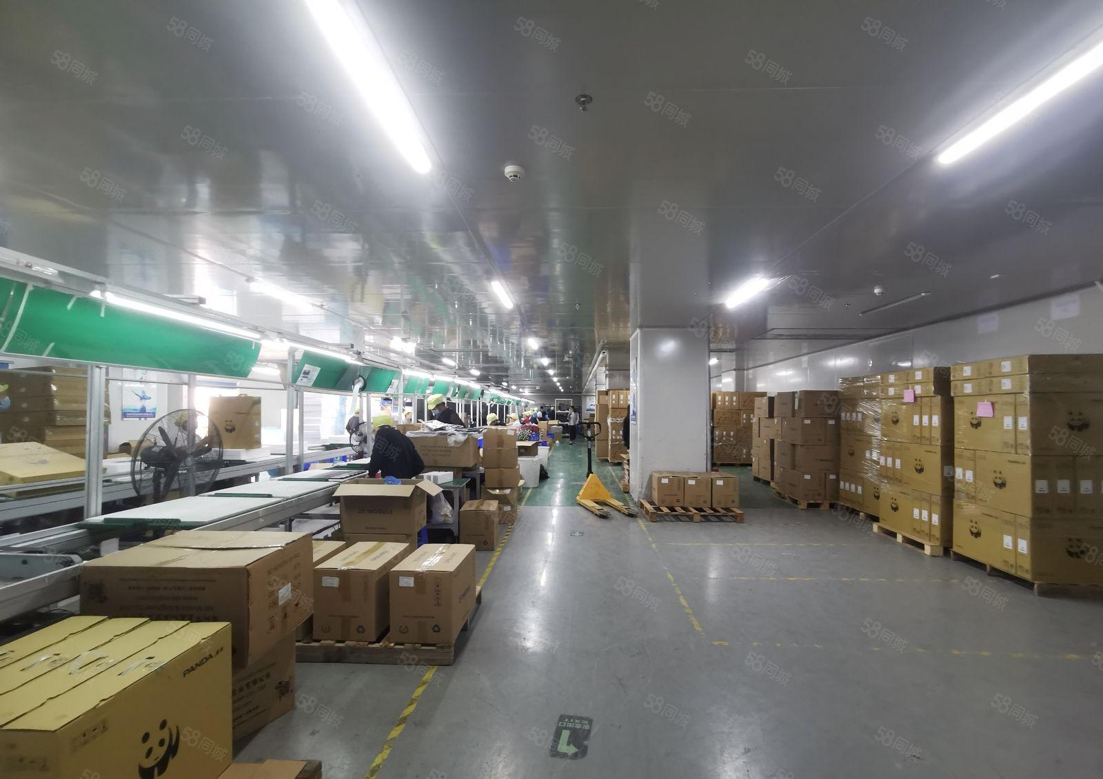 光明高新园区楼上精装修标准厂房2240平厂房出租带卸货平台