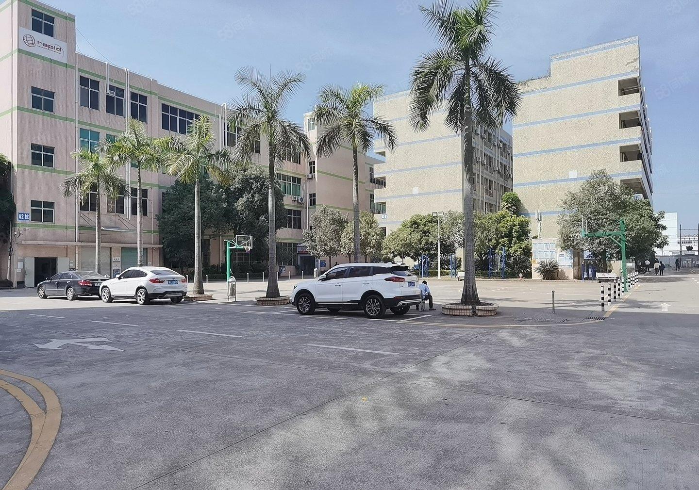 松岗原房东一楼1780平米高是米可办环保