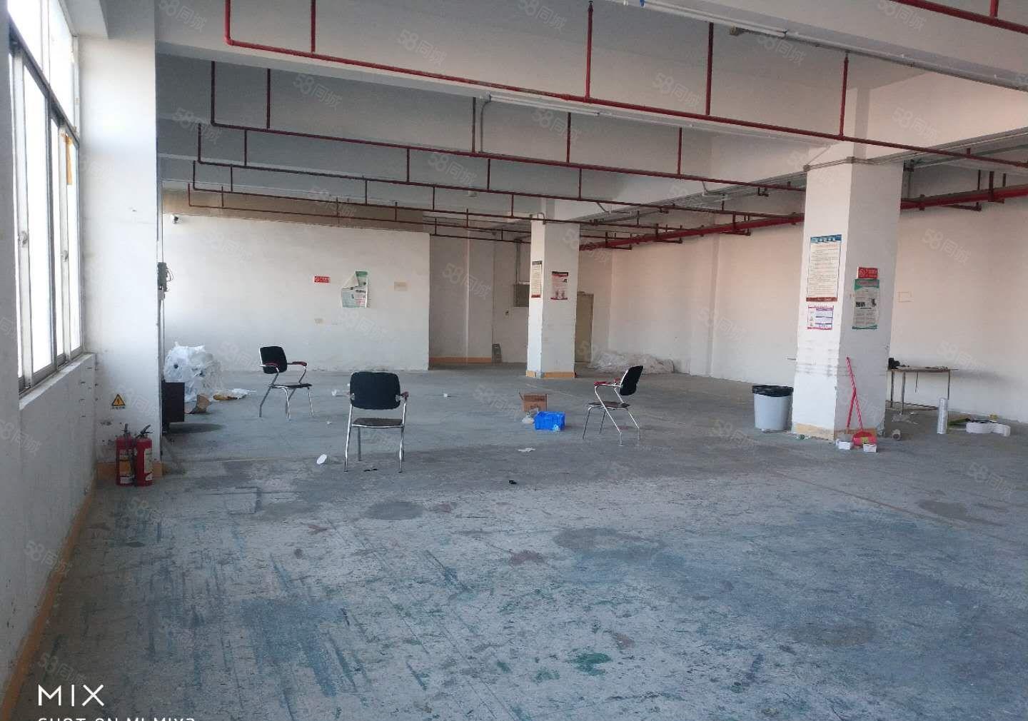 松岗塘下涌500平精装修厂房仓库出租水电到位园区形象交通便利