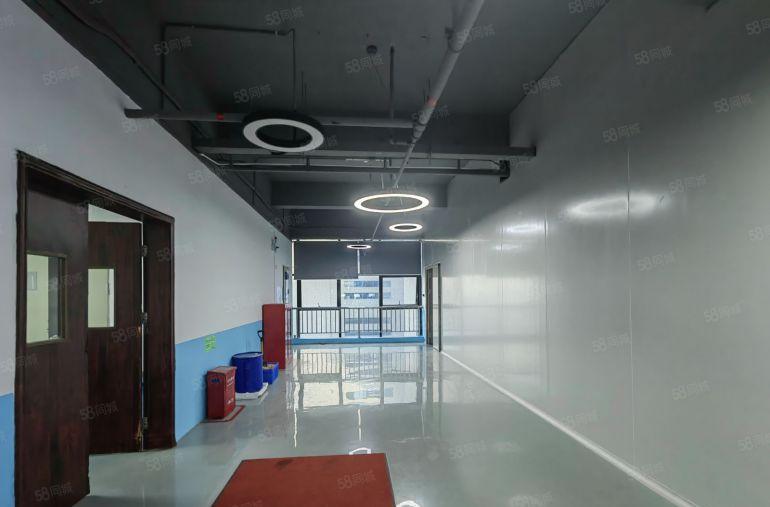 福永大洋田新出花园式厂房4楼整层3400平米精装修带无尘车间