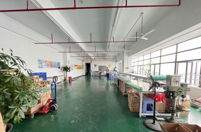 福永大洋田工业园区精装修500平厂房出租地铁口电商仓库