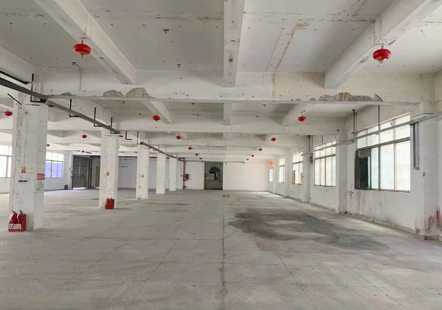 福永凤凰红本小独门独院两层2760平整租