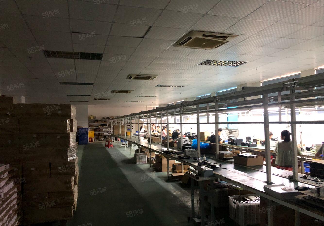 福永大洋田700平米豪华装修厂房出租分租地铁口附近