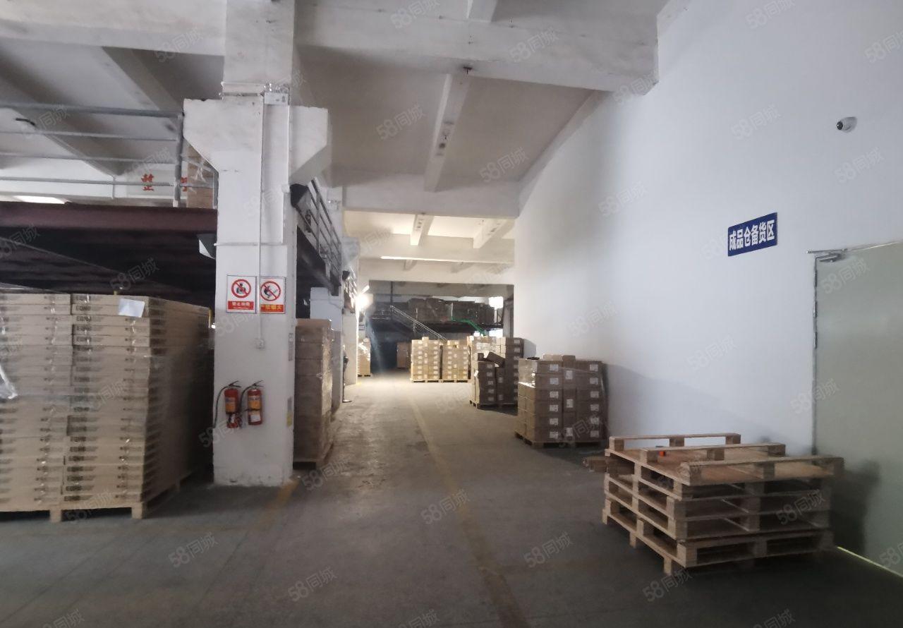 西乡洲石路边一楼1600平重工业带牛角厂房五金注塑物流仓储等