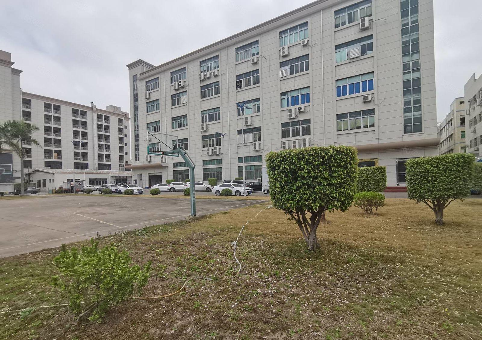 福永原房东红本8800平独院仓库厂房出租无公摊可分租方便招工