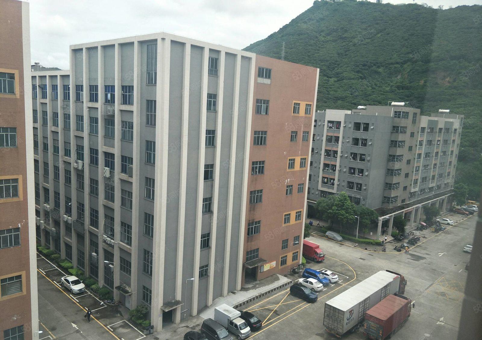 宝安西乡黄田大型工业园标准厂房1500平出租大小可分