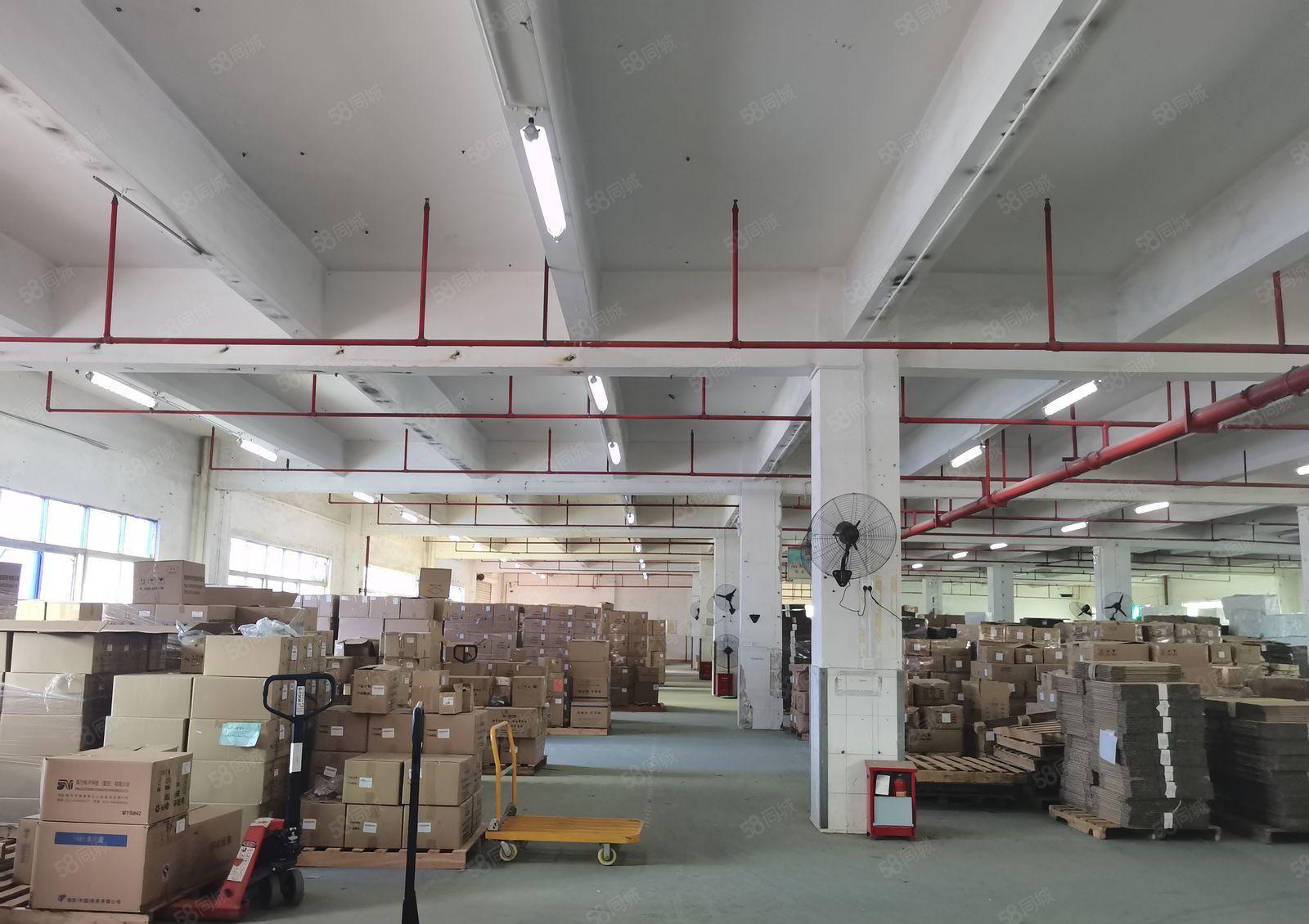 沙井马安山地铁站3000平方一楼原房东红本厂房500平方分租