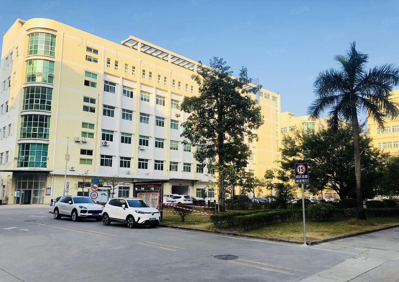 3吨货梯带吊机口松岗原房东山门工业区楼上1100平厂房招租