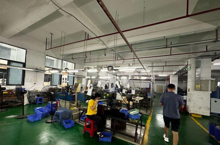 公明马山头工业区独院厂房出租2层2500平米，高度6米可分组