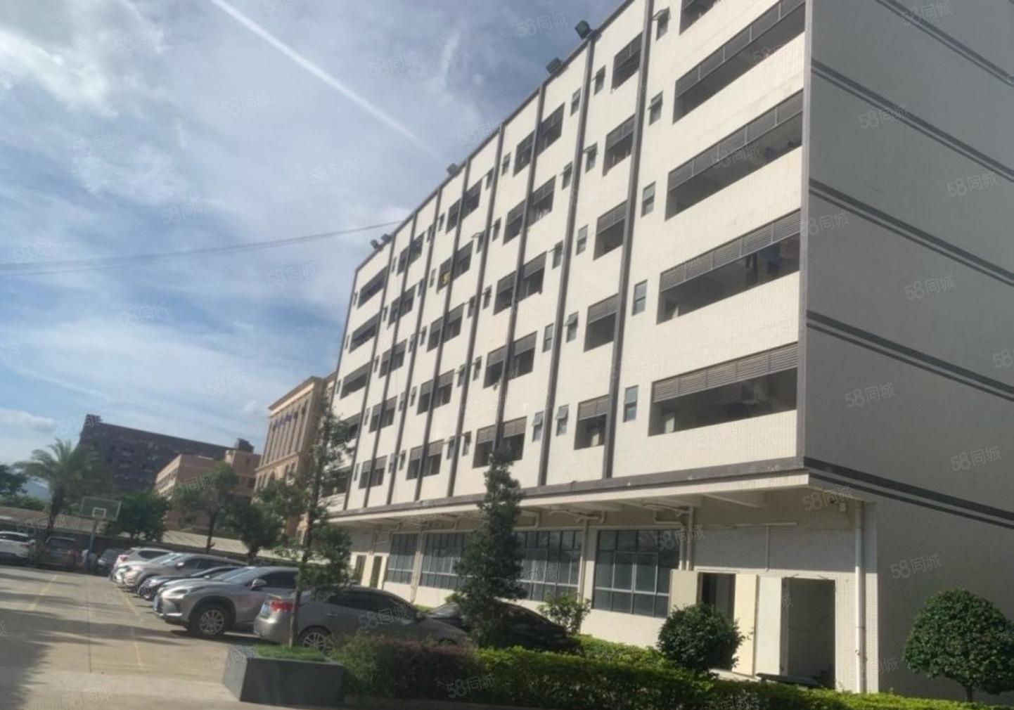 松岗新出原房东独门独院12300平方厂房招租红本