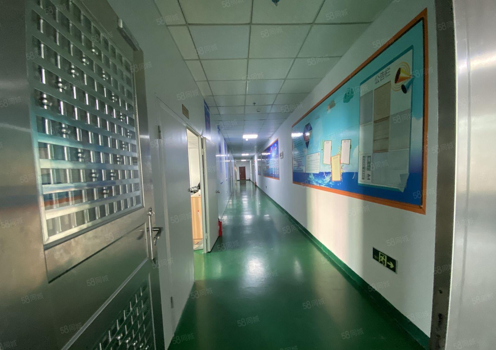 西乡大型标准红本厂房带精装修1750平出租。