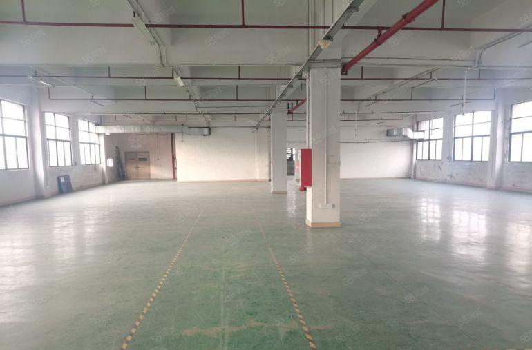 松岗楼上带装修厂房出租，免租期两个月