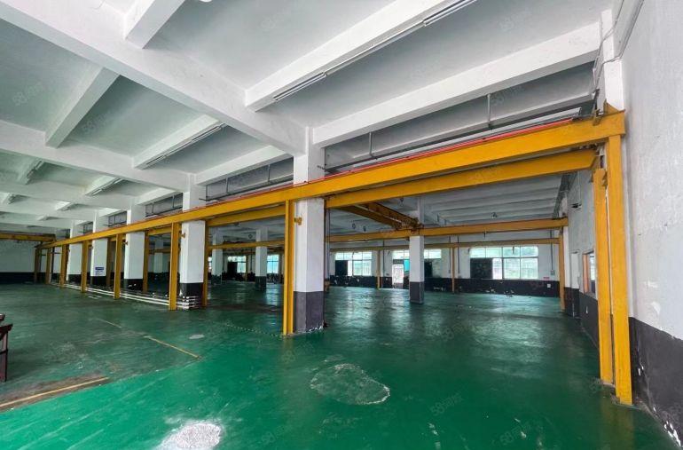 松岗中学独院厂房出租6150平注塑厂带行车800平起分电可过