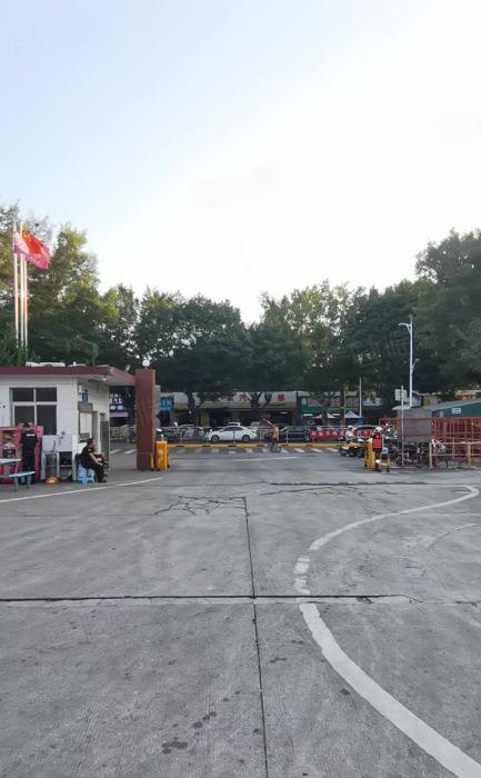 沙井107国道一楼6500平方物流仓库出租500平方起出租