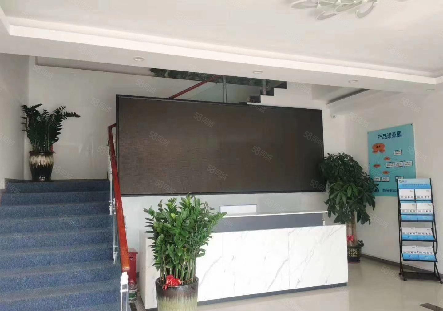 松岗科技园精装200平至8000平办公室电商仓库厂房出租一楼