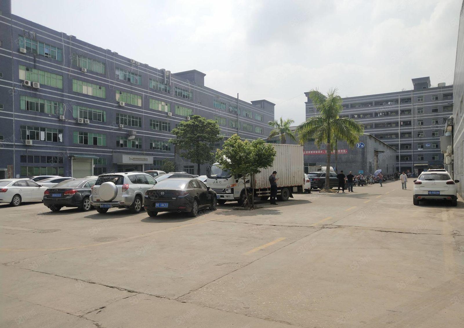 可分租石岩上屋原房东工业园精装修1000平办公室仓库厂房出租