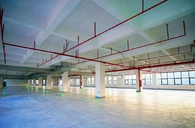 石岩工业区带红本8000平厂房出租 主干道旁 可分租500平