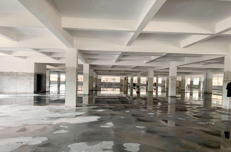 松岗原房东红本独栋厂房1一5层15000平方出租分租5米高