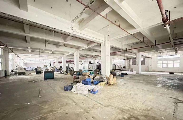 松岗塘下涌厂房出租 一楼750平米 高度6米 实际面积可分组