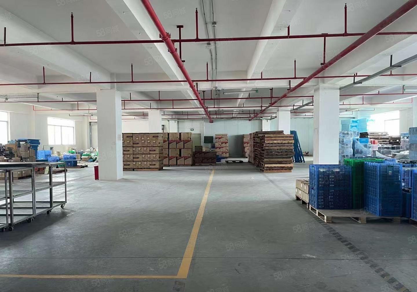 福永国道附近原房东楼上1000平精装修厂房仓库出租，可办环评