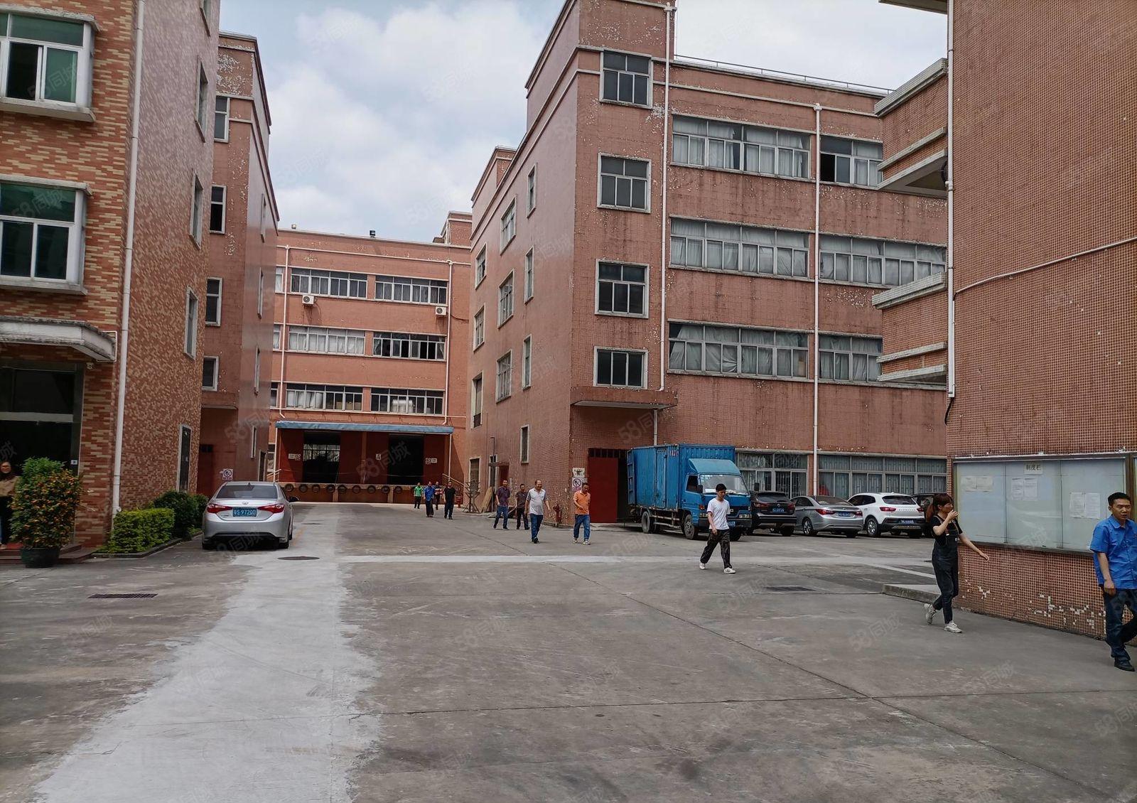 石岩新出1000平至5000平一二楼厂房仓库出租独院大小分租