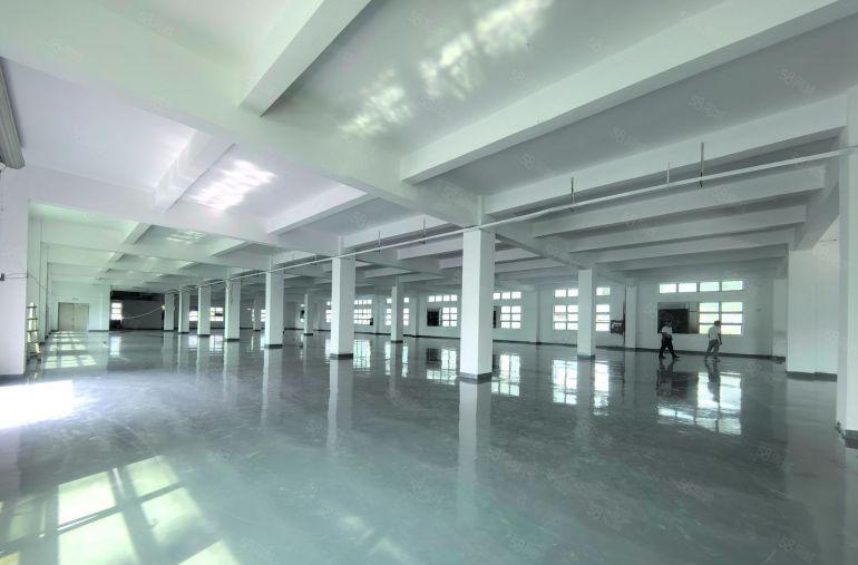 超大空地！西乡九围原房东独门独院7000平厂房大小分租已电改