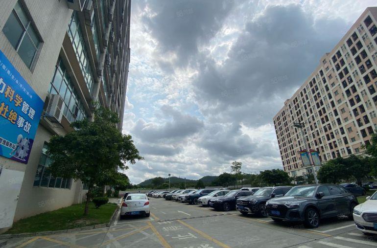 沙井新桥21元起政府桃花源目前7层空出2500每层带装修