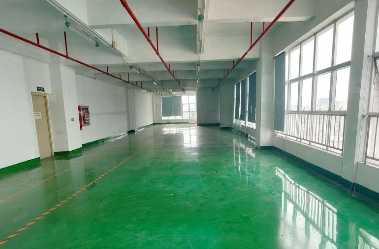 沙井万丰300平500平700平带装修