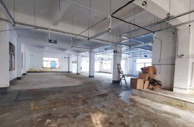 原房东西乡固戍一楼500平出租