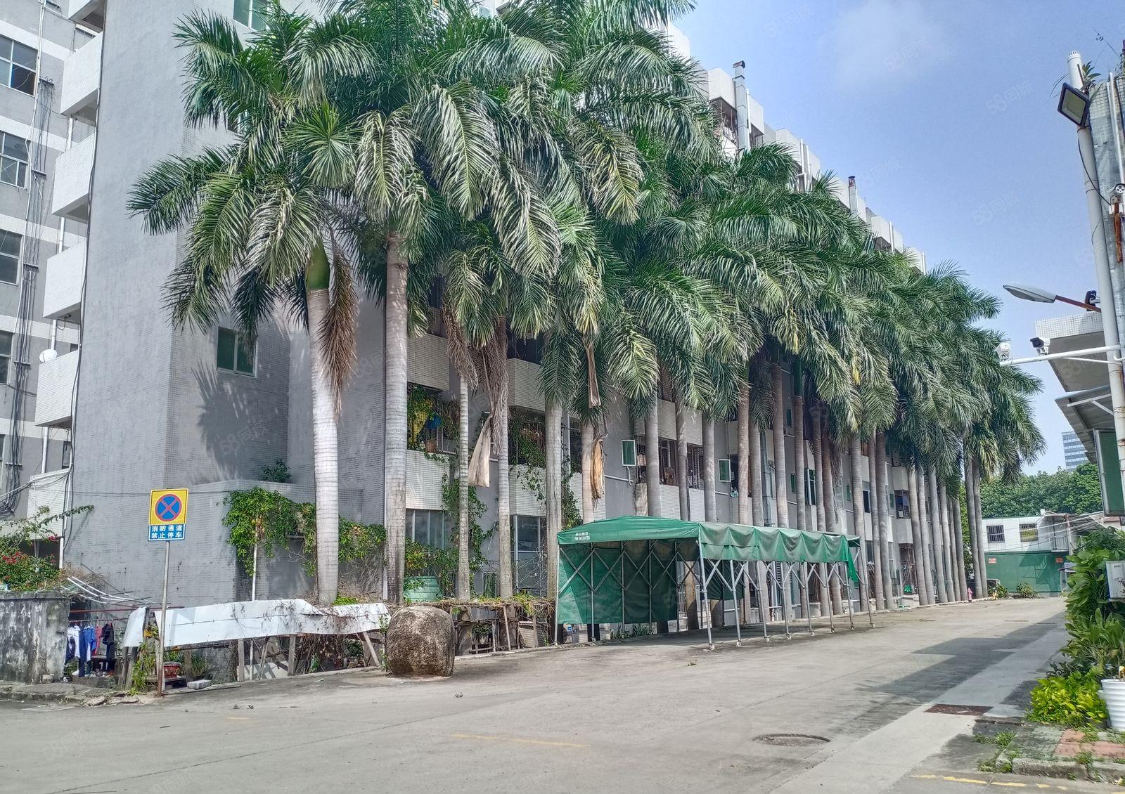 急租，物流园楼上550平米带装修办公室厂房出租。