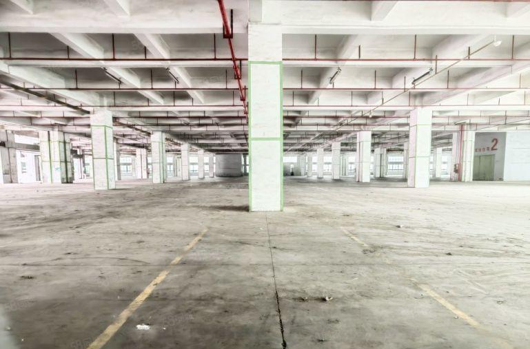 22元宝安石岩厂房出租300至60000平大小可分组仓库出租