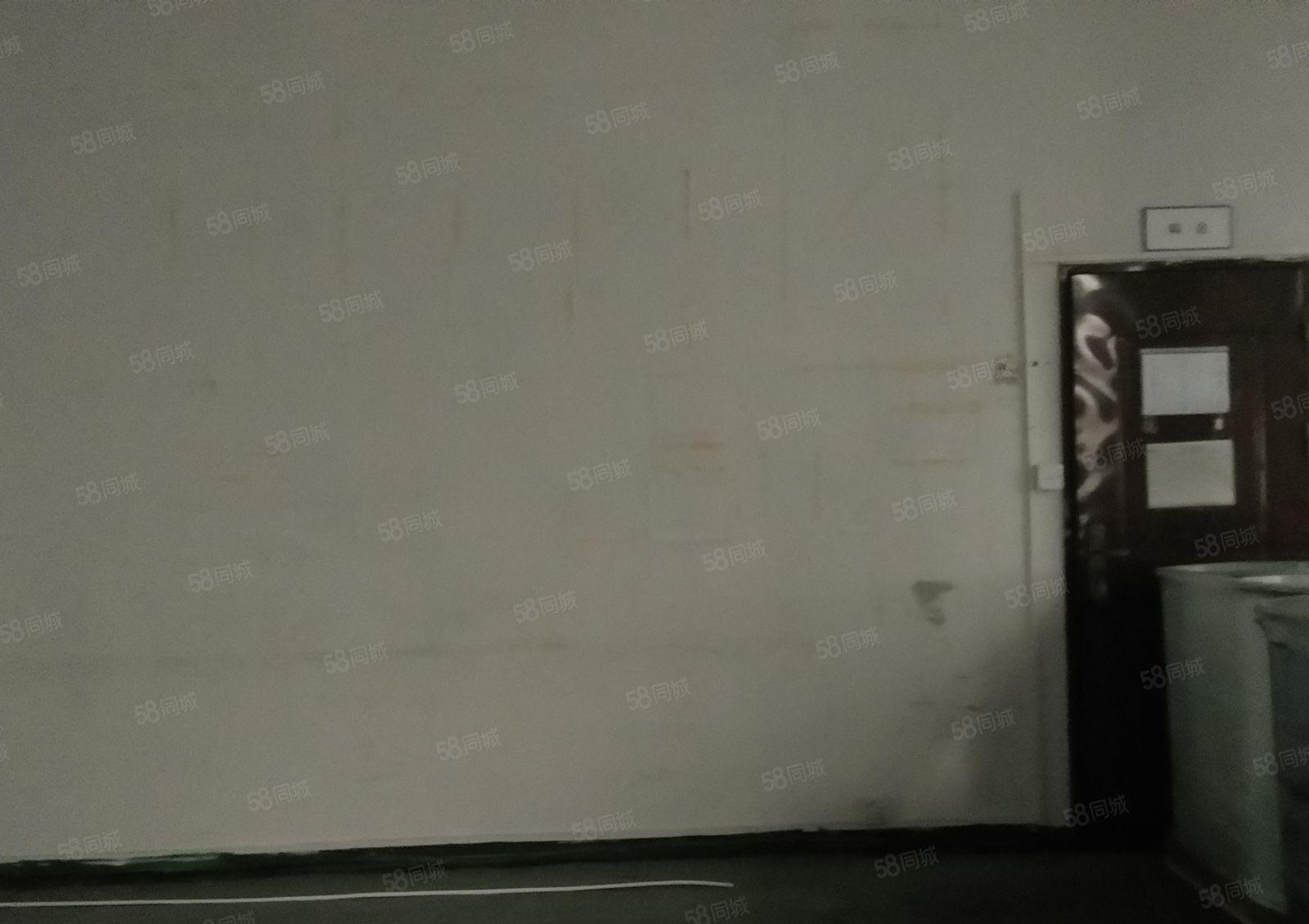 西乡鹤州洲石路旁一楼精装修353平！