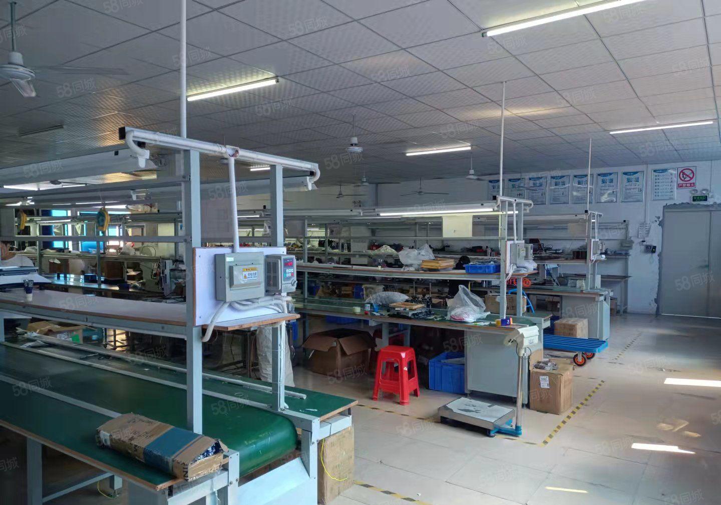 松岗碧头工业园区精装修1000平厂房出租100平分租