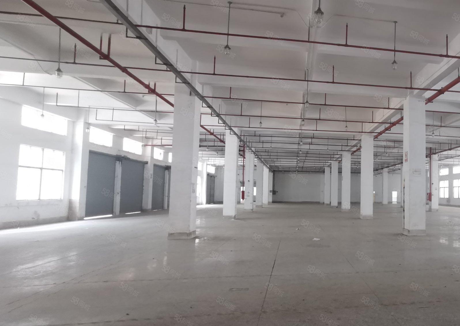 石岩爱群路旁新出楼上1705平原房东厂房出租