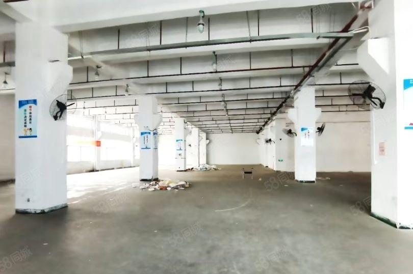 西乡固戍一楼精装修厂房仓库3000平28元1平交通方便进大车