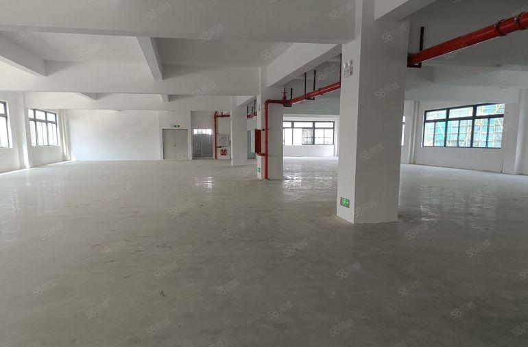 松岗地铁站附近独门独院厂房5800平方出租500起分租