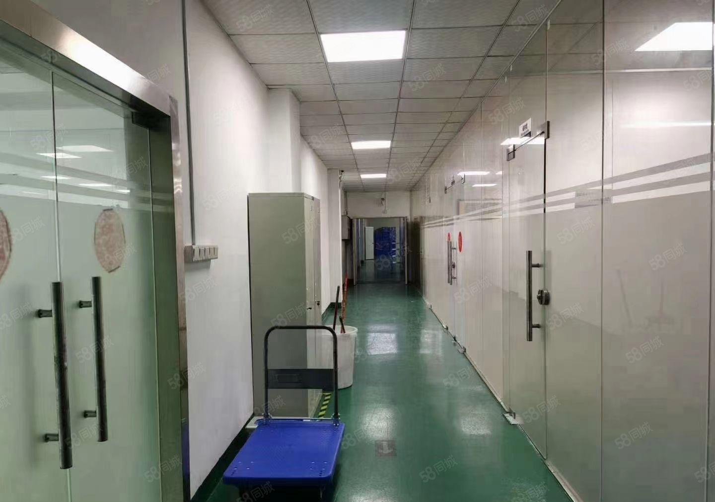 福永107国道刚出无尘车间1380平方出租，无转让费