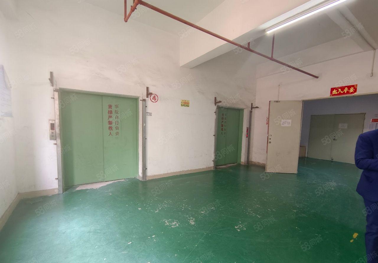 福永会展中心500平厂房出租低价仓库出租精装修无尘车间可分租