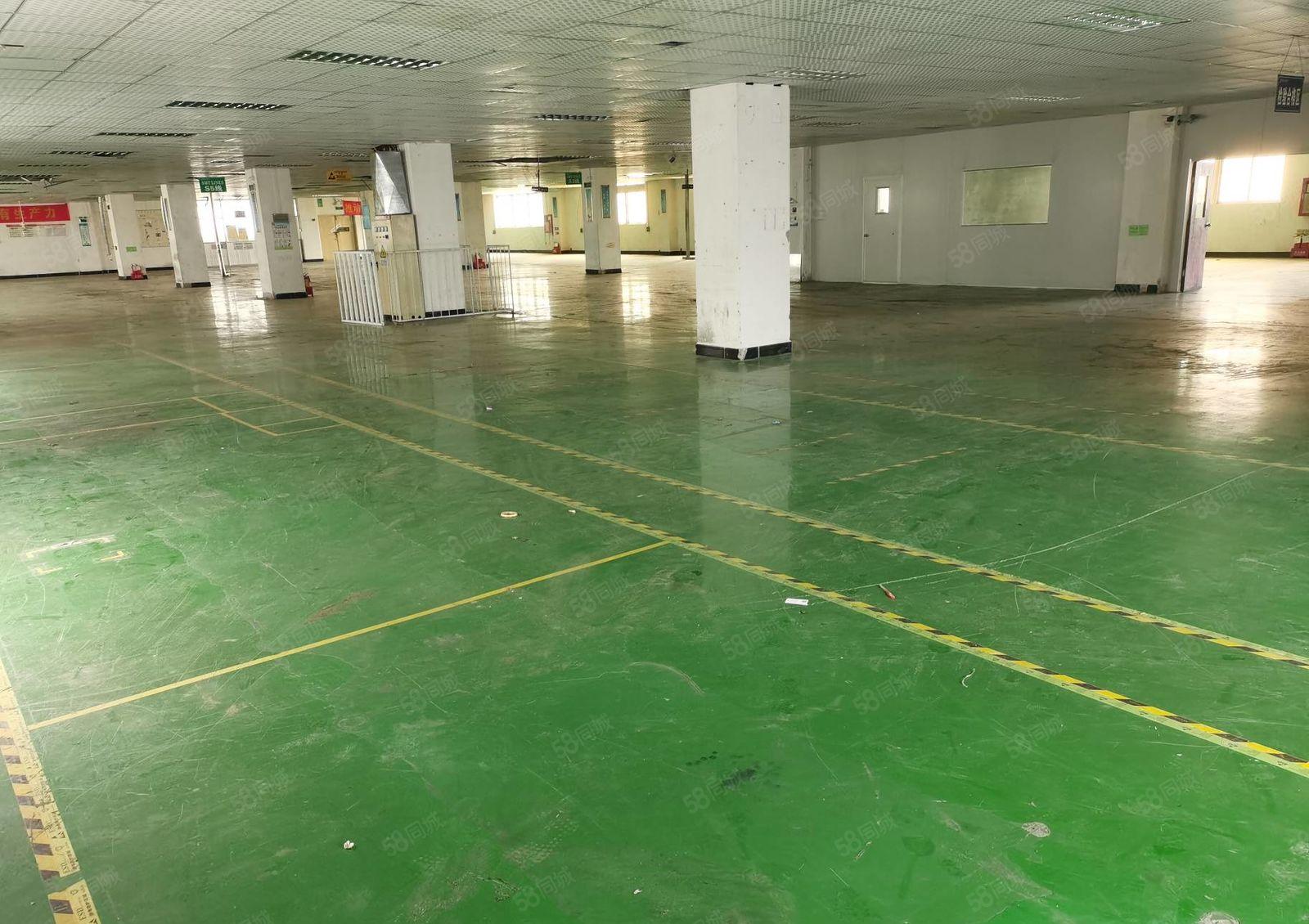 福永地铁口附近一楼与楼上300平至2000平低价仓库厂房出租