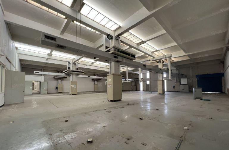 滴水9米石岩原房东独门独院5000平方钢结构厂房分租空地很大