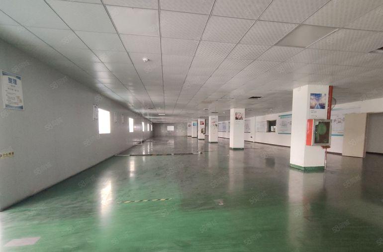 西乡鹤洲大型园区 楼上带装修整层2600平厂房出租，价格便宜