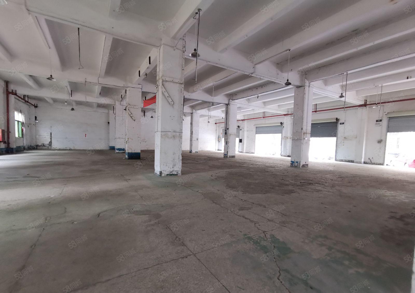 宝安固戍一楼厂房1300平米 带3个办公室 租45元