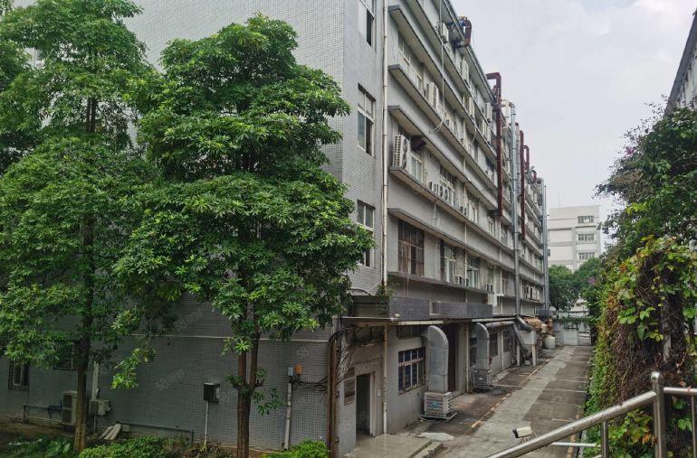 15000塘下涌同富裕工业原房东独栋厂房红本实际面积过环评