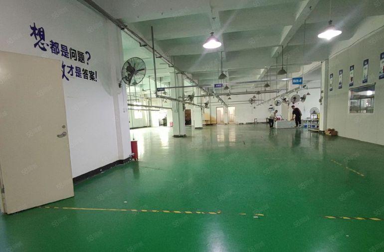 沙井中心路旁楼上红本600平办公厂房仓库低价出租适合任何行业