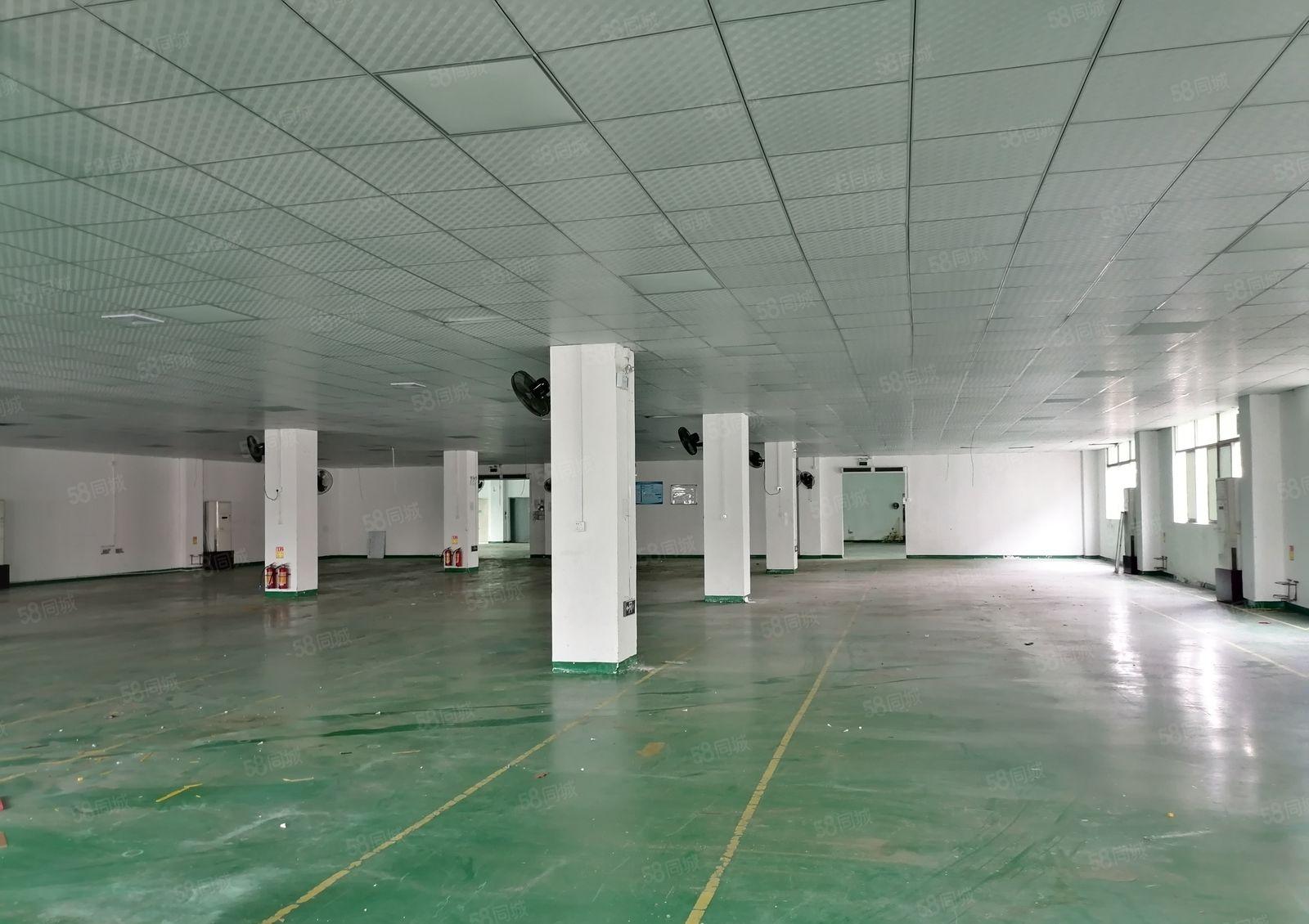 沙井独栋三楼2400平方出租可分租