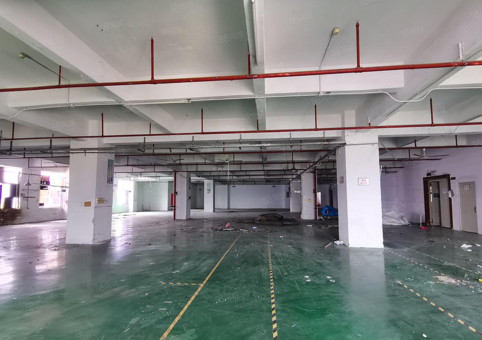 福永桥头1000平 15000平独门独院精装修原房东工业厂房