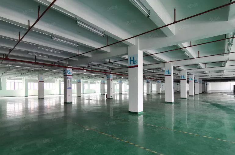 沙井西环路九九工业区15000平独门独院红本厂房低价出租