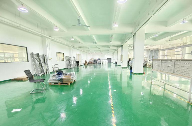 300平起分 松岗厂房出租独院2000平方带装修水电齐全