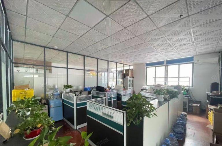 步涌三工业区实际面积厂房出租一楼1700平米高度6米带行车